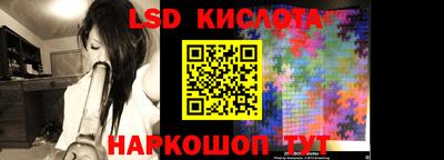 гидра Кандалакша