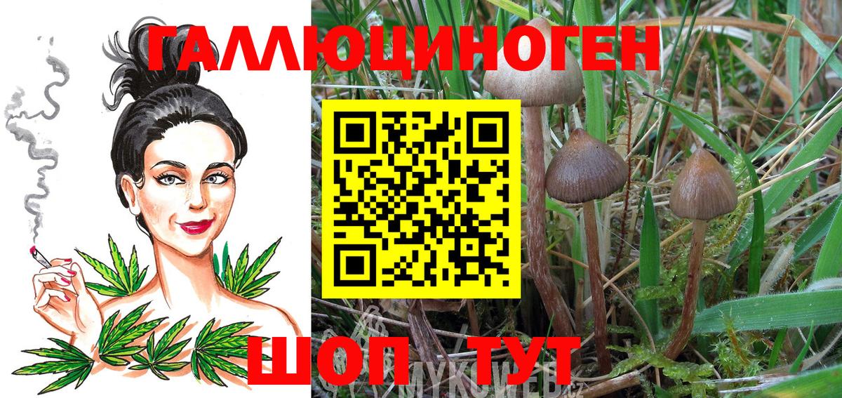 Галлюциногенные грибы прущие грибы  Вход с VPN  Лабинск 