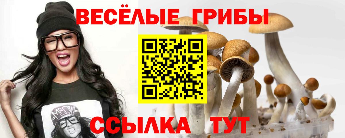 ГАШ  Каннабис  Вейп ТГК  Лабинск  Меф кристаллы  Вход с VPN 